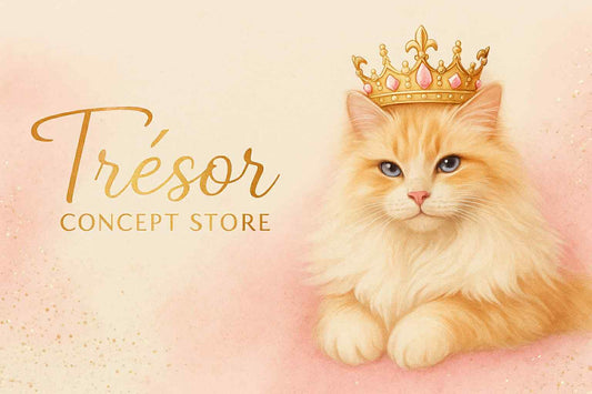 Carte-cadeau Trésor Concept Store