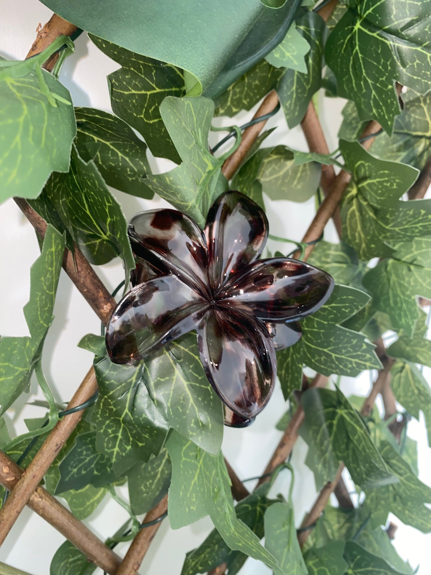 Pince fleur tachetée