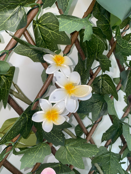 Pinces 3 fleurs